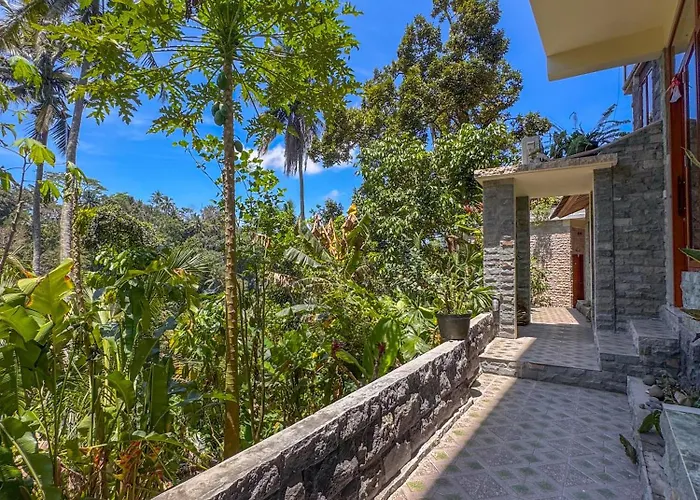 Made Punia's Hidden Jungle Hotel
