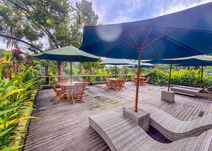 Hotel Made Punia's Hidden Jungle 3*