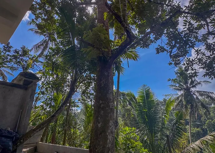 Hotel Made Punia's Hidden Jungle